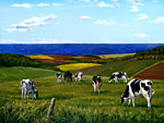 Grazing Cattle - Maurice Bernard