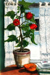 Sylvia Ridgway "Geraniums & Lace"